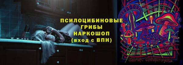 крисы Михайловск