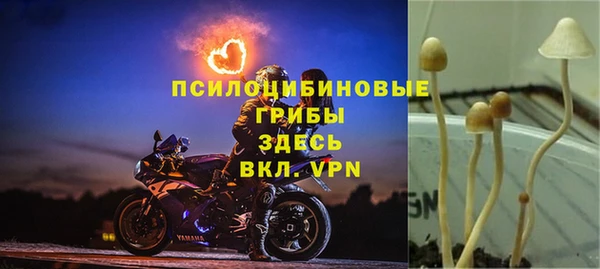 дживик Михайлов