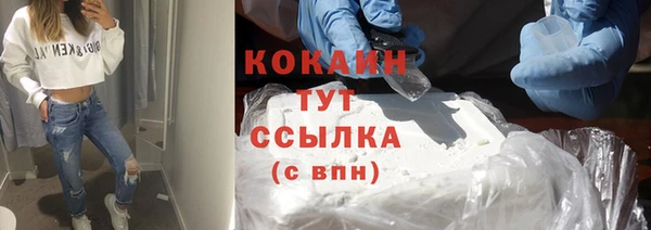 крисы Михайловск