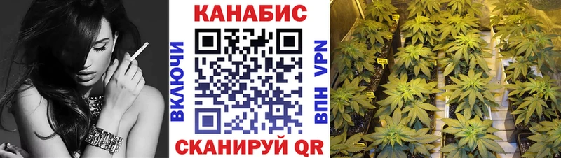 Бошки марихуана THC 21% Тотьма